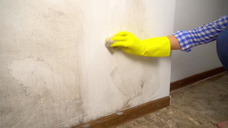 Best Basement Mold Removal  in Beatrice, NE